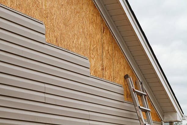 Professional Storm Damage Siding Repair technician working in Taylors, SC